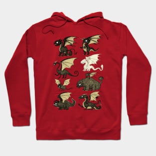 Assorted Dragons Hoodie